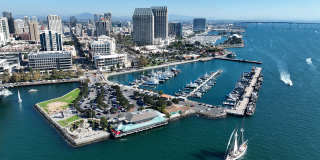 Palms Gallery 8