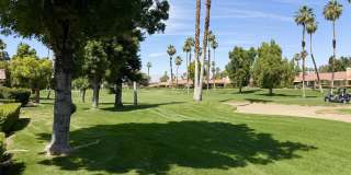 242 Serena Drive Gallery 14