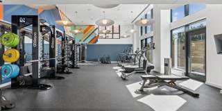 Fitzroy Gallery 7