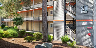 The Aviator apartments Gallery 66
