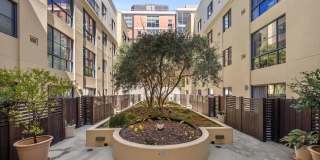 88 Townsend St Apt 126 Gallery 21