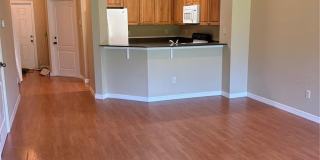 13841 DANIELS LANDING CIRCLE Gallery 4
