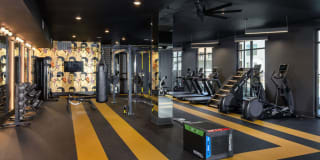 Broadstone Pullman Gallery 13