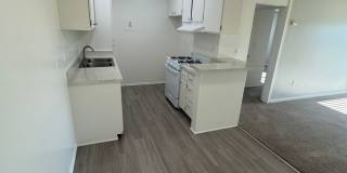 156 Arbor Park Apartments Gallery 1