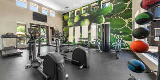 Stonebridge Ranch Gallery 11