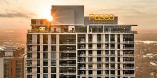 Paseo Gallery 41