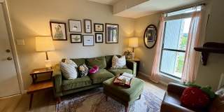 3551 Timberline Trail Gallery 9