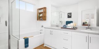 Independence at The Preserve Gallery 8