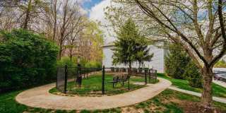 Honey Creek Gallery 31