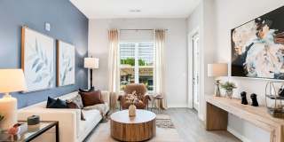 The Aster Gallery 46