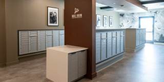 Paloma Village Gallery 9