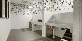 The Parallel The Parallel Gallery 34