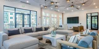 J. Ardin at Apopka Gallery 25