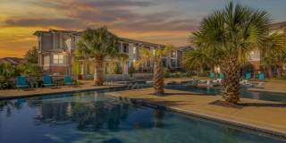 Bridge at Southpark Meadows Gallery 31