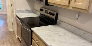 3 BR/2BA | Newly Renovated Single Family Home |Attached garage  | Fenced  backyard | In Cordova! Gallery 12
