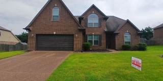 Beautiful 4-bedroom 3 bath home in Arlington Gallery 1