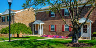Deertree Gallery 4