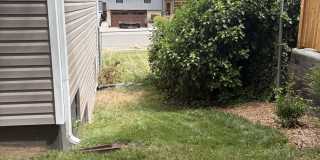 3212 Hollyhock Hill Gallery 36