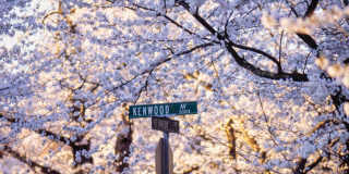 The Astrid Gallery 56