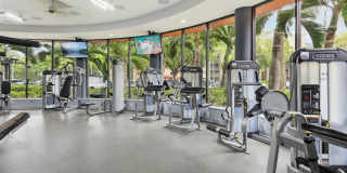 Fontainebleau Milton Gallery 18