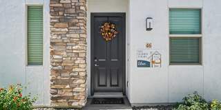 Olive Queen Creek Gallery 18