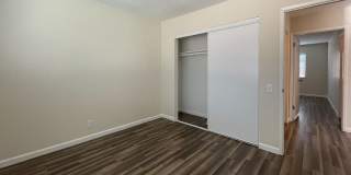 Summer Woods Gallery 24