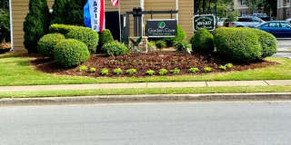 Garden Cove Gallery 1