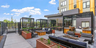 The Fox & The Grouse Gallery 77