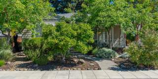 Downtown Napa 3 bed 2 bath single level home Gallery 3