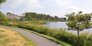 42463 PINE FOREST Drive Gallery 34