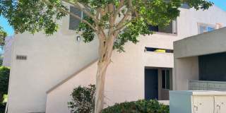 3254 Ashford St Gallery 1