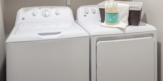 Salado at Red Berry Gallery 16