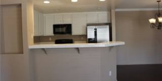 24341 CONEJO Gallery 8