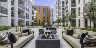 Maxwell at Bascom Maxwell at Bascom Gallery 33