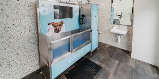 Elevate at 620 Gallery 20