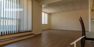 Huge 2 bed in Allston Gallery 3