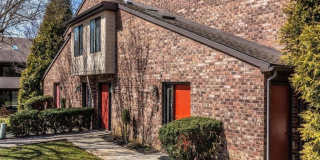 703 MOUNTAIN VIEW DRIVE Gallery 27