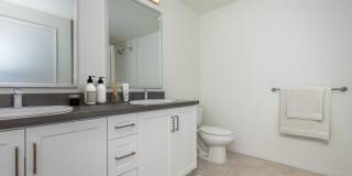 Vineyards Gallery 201