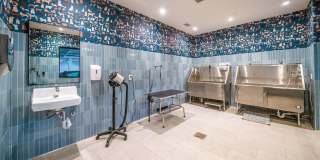 Harwood Flats Gallery 25