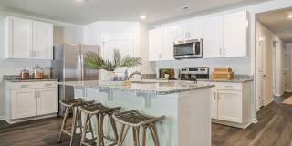 Jackey's Ridge Gallery 3