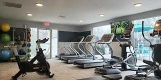 The Everly Gallery 20