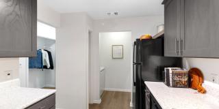 TGM Bull Run Gallery 5