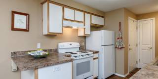 Willamette Park Gallery 13