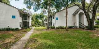 Ocean Oaks Gallery 18