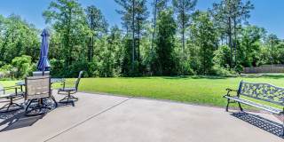 4/2 Stonebridge Rental with Modern Upgrades, Private Wooded Views & Resort-Style Amenities Gallery 22