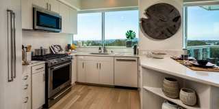 Palisade UTC Gallery 16