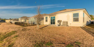 12634 CACAO TREE Trail Gallery 27