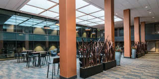 Condo for Rent Gallery 19