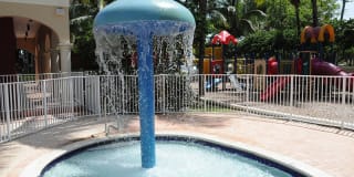 Royal Palms Gallery 11
