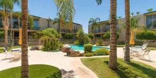 334 W Medlock Drive Gallery 2